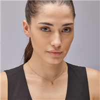 Collana Brosway Donna Perfect in Acciaio BPC10 - BPC10